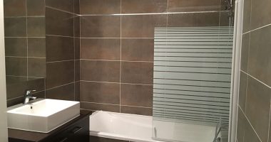 1f42f308