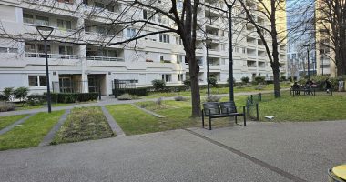 42c294d4