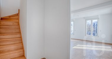 51301689