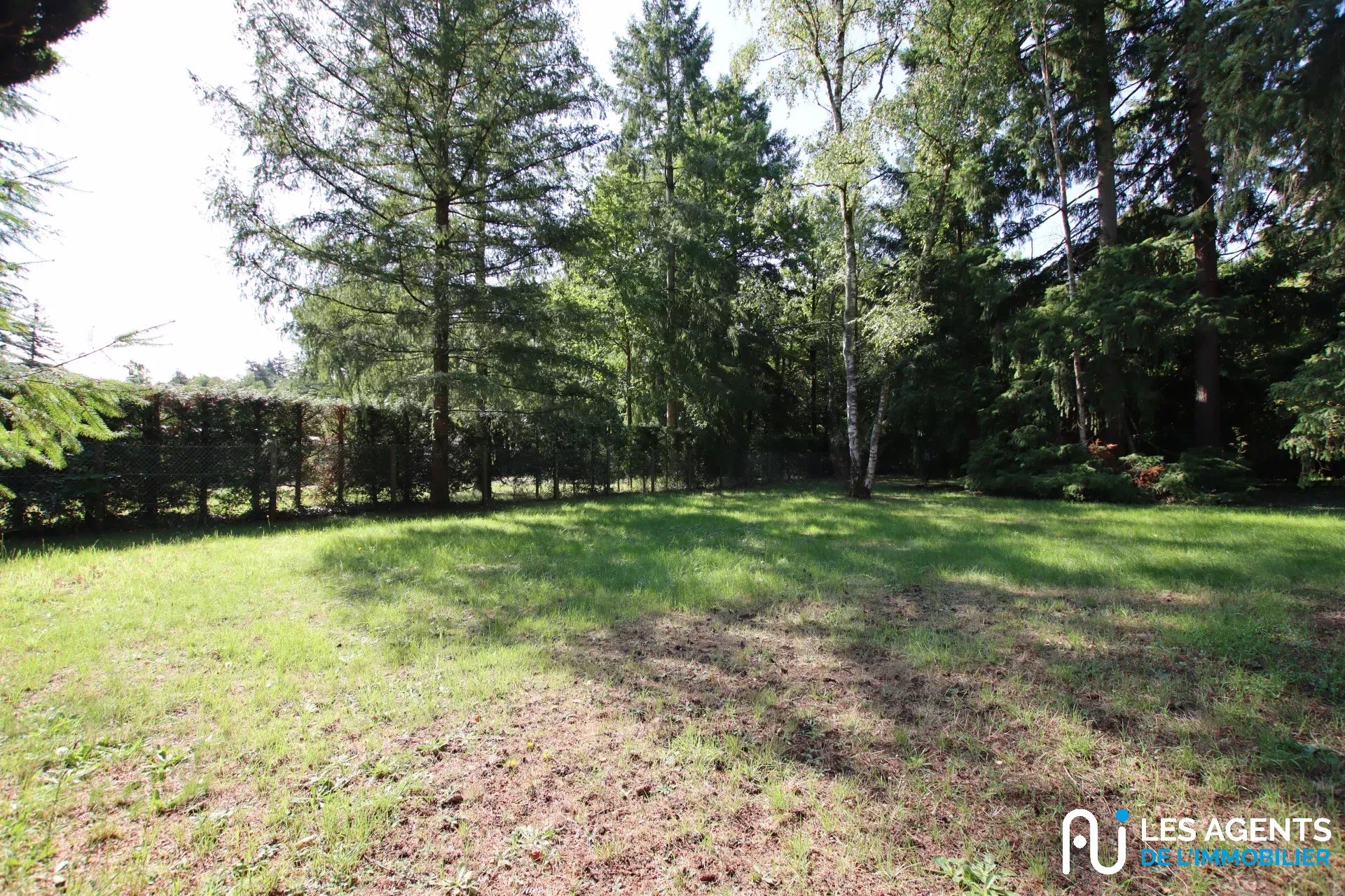 682297cb1d84b4312085cb6facc3f062_347011fe30_1920-big