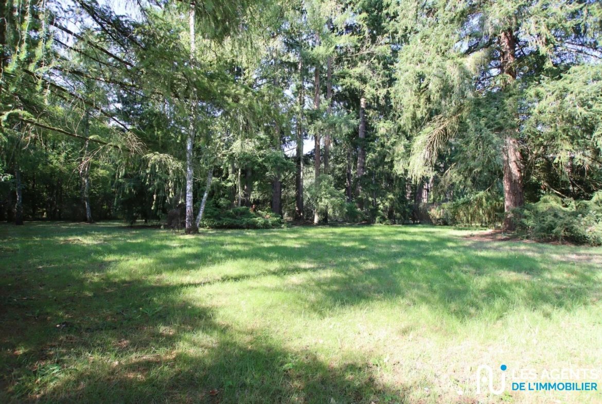 6fbb992d633ef0c57bb9b3b66329dd70_a1da8822a4_1920-big