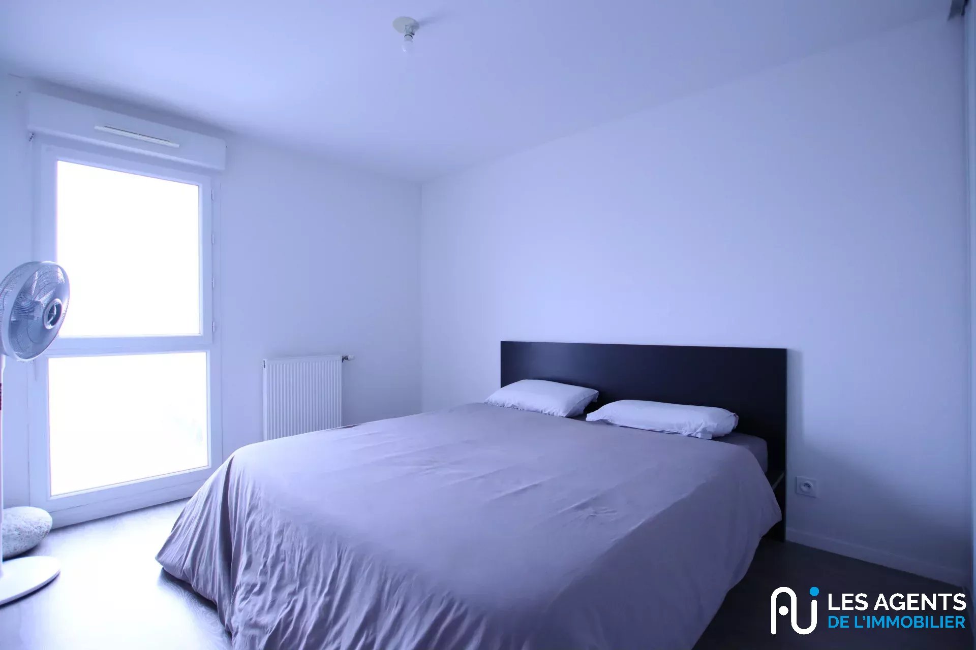 36e977ee2ffbcd0602340a74df650af0_39756c2904_1920-big