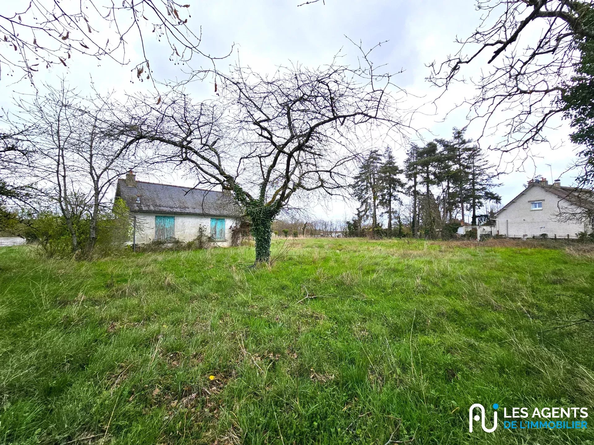 1ed0307e813a86ec19f8db6ba3676ee7_5c87ab37cb_1920-big