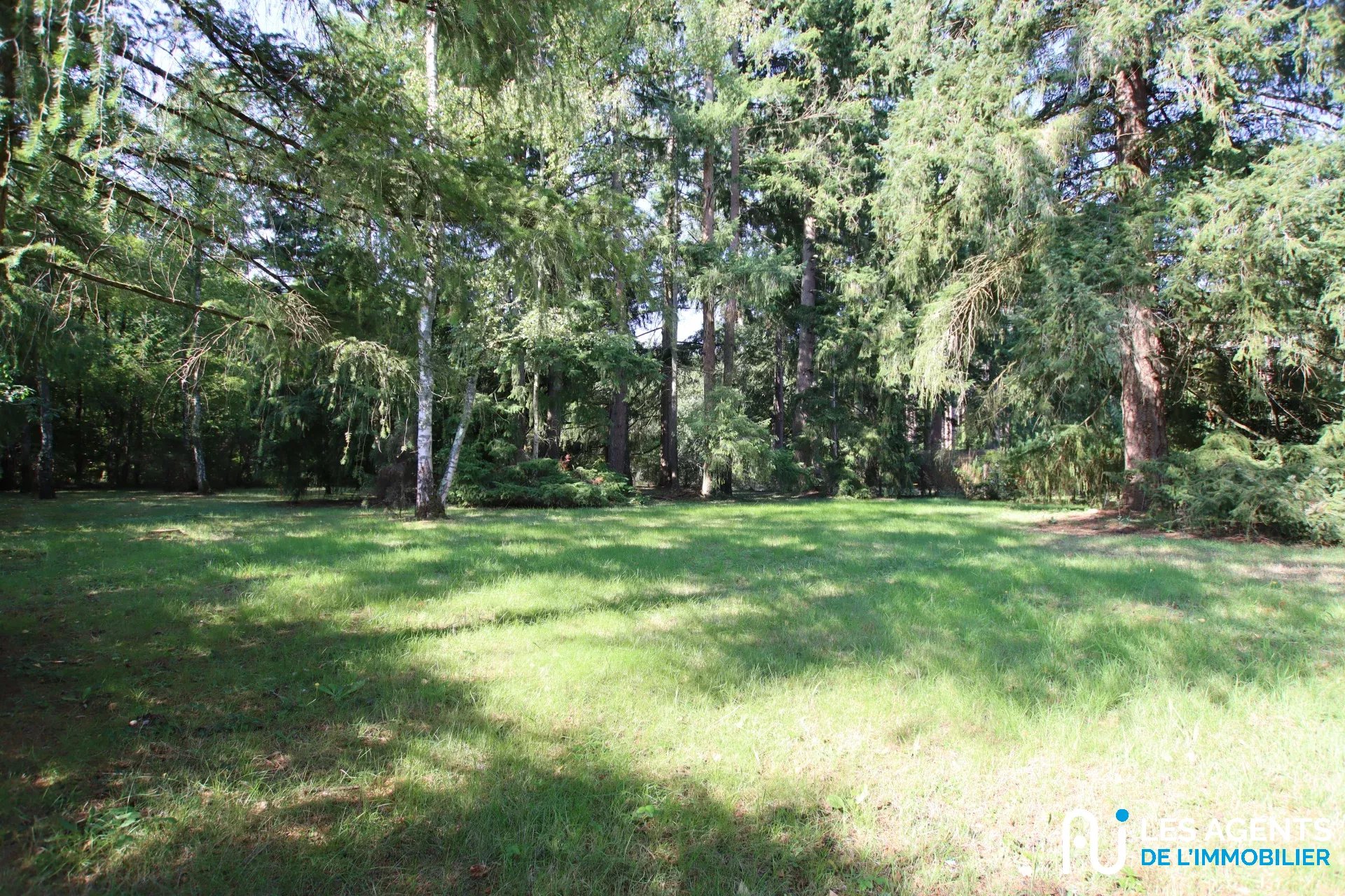 6fbb992d633ef0c57bb9b3b66329dd70_a1da8822a4_1920-big