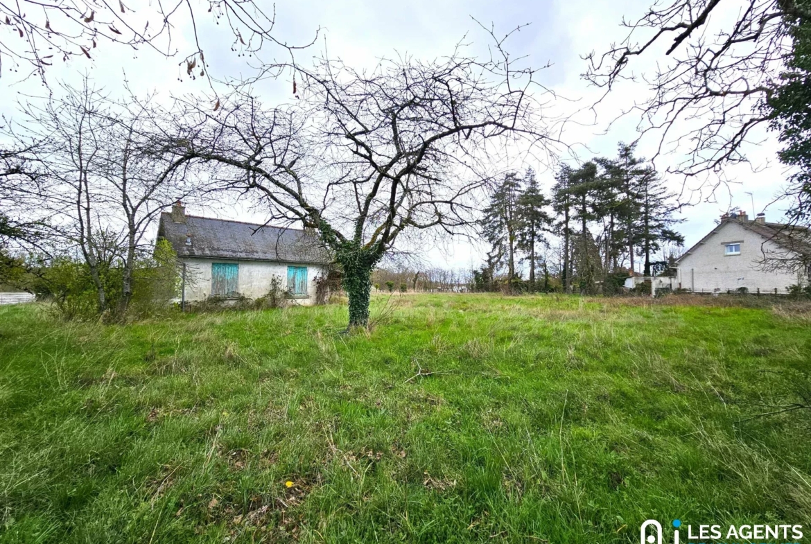 1ed0307e813a86ec19f8db6ba3676ee7_5c87ab37cb_1920-big