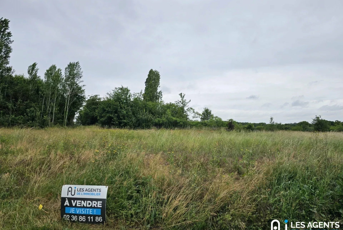 845476f664dddca04be6cc3a9ae6d7ab_659240cbae_1920-big