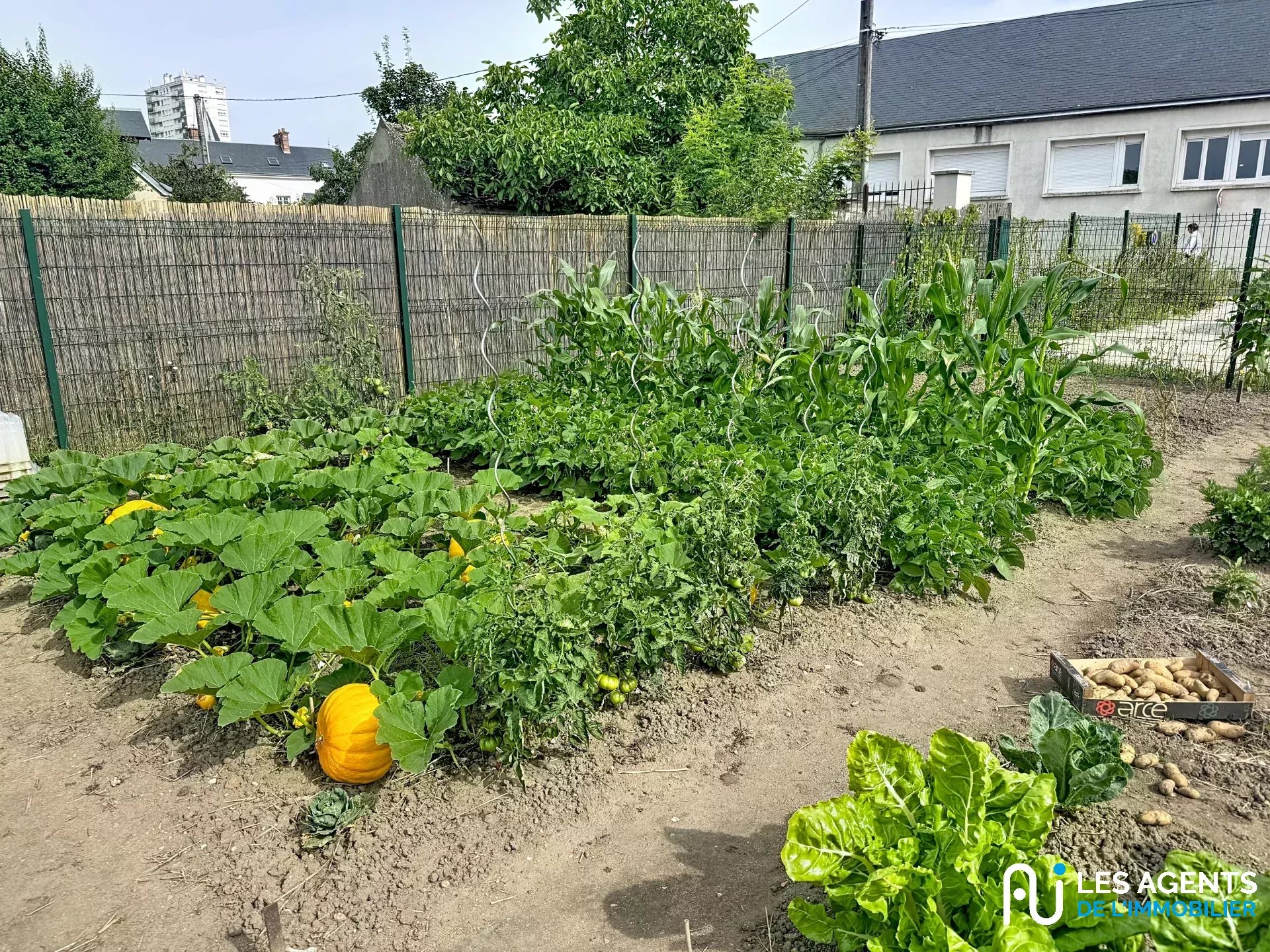 b4c9b287f43ab30a5892f445fd0f8180_06e12c706a_1920-big